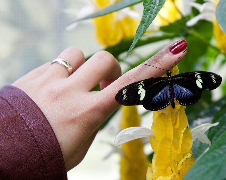 7 Nail Ideas For Wedding Manicures