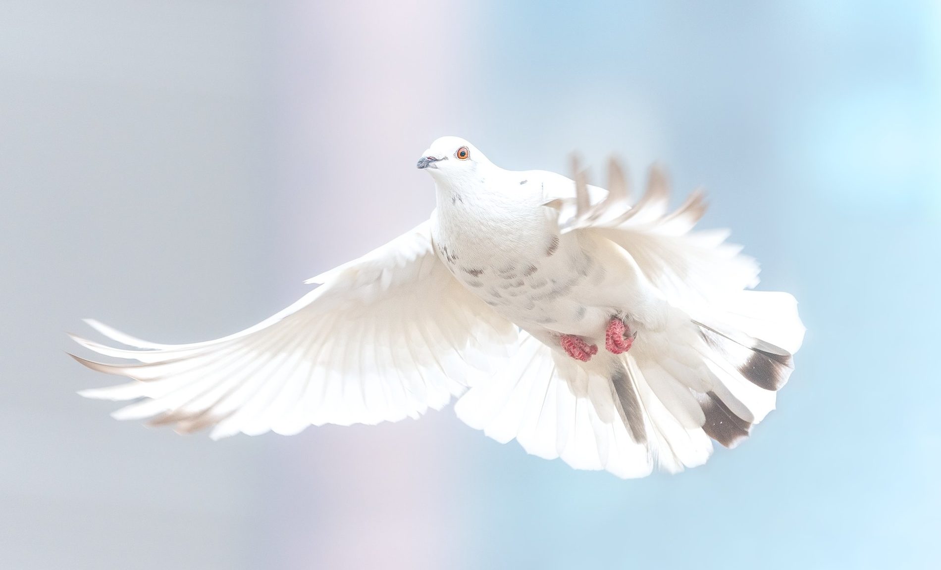 5 Ways To Remember A Loved One At Your Wedding