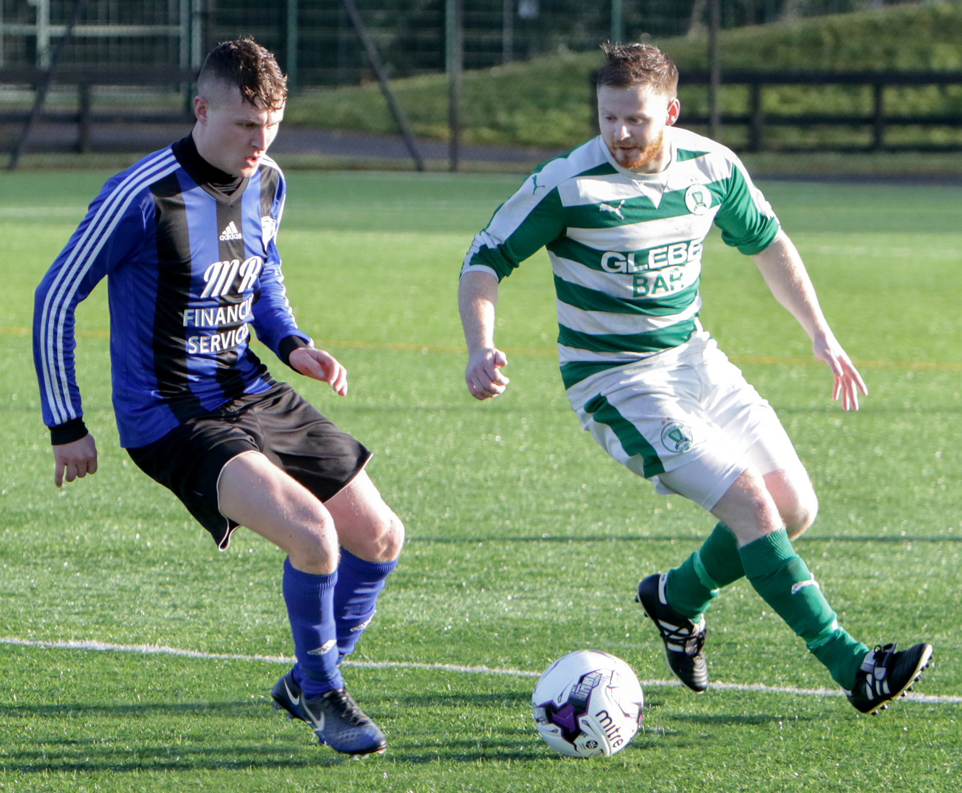 F&W committee to discuss alternatives