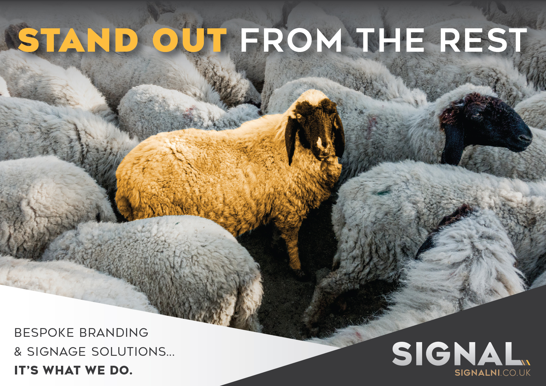 Are you Covid-19 ready?