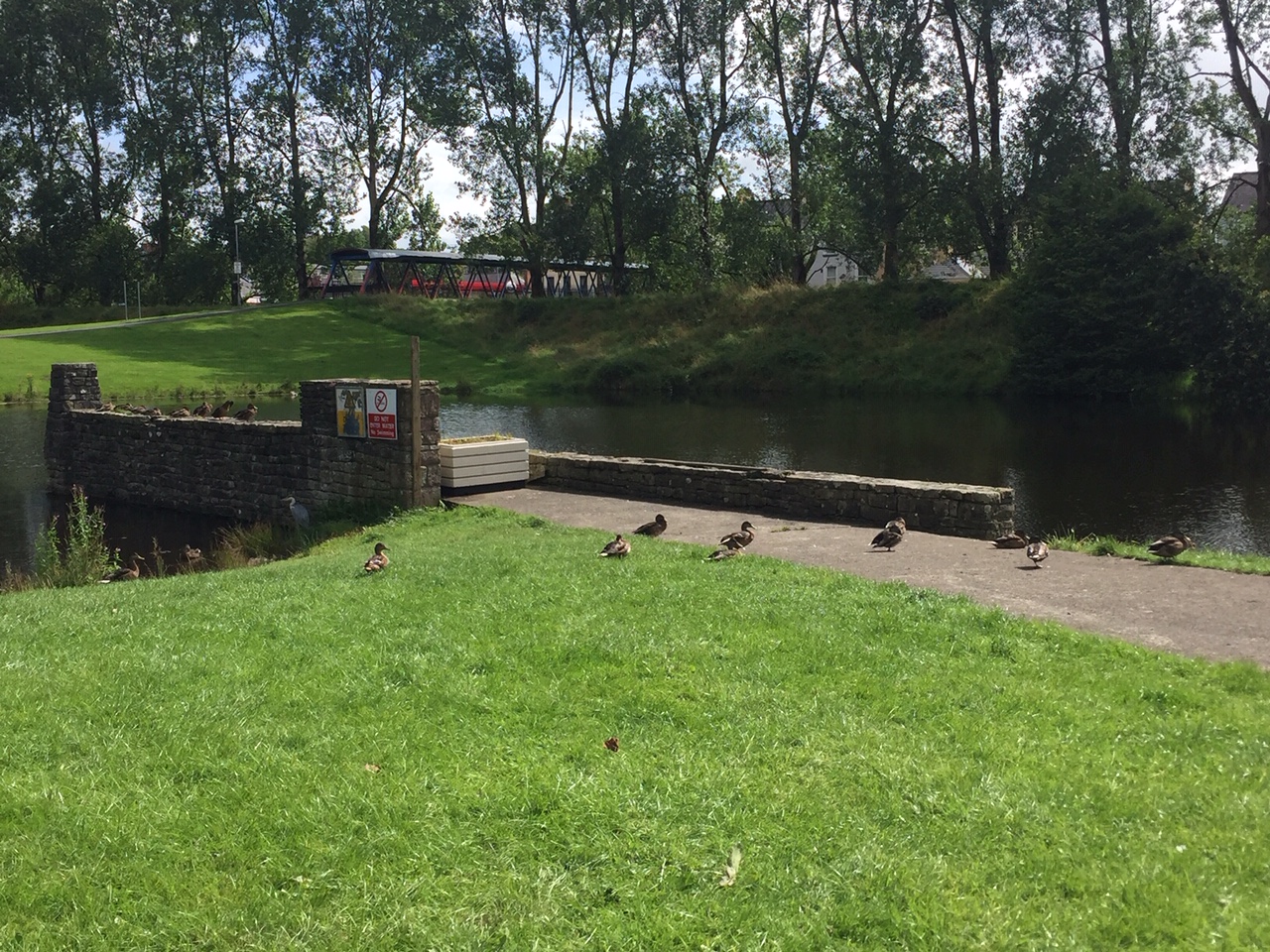 Woman was left ‘trembling with fear after stone attack