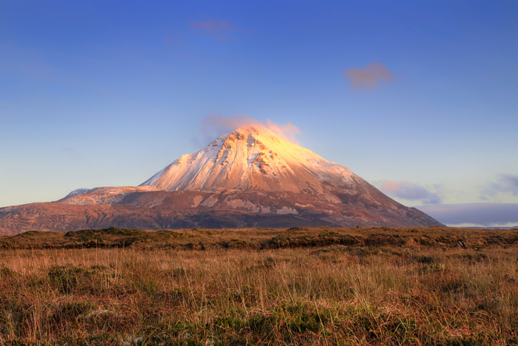 Make it a summer of movement