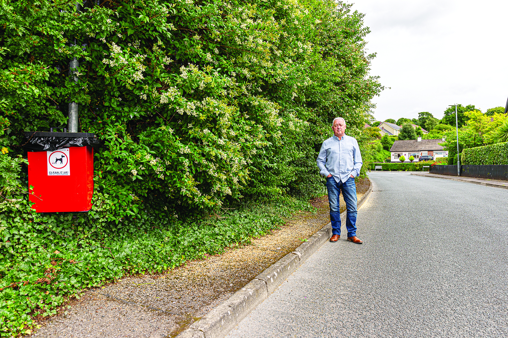 Department silent over Tullacorr trees