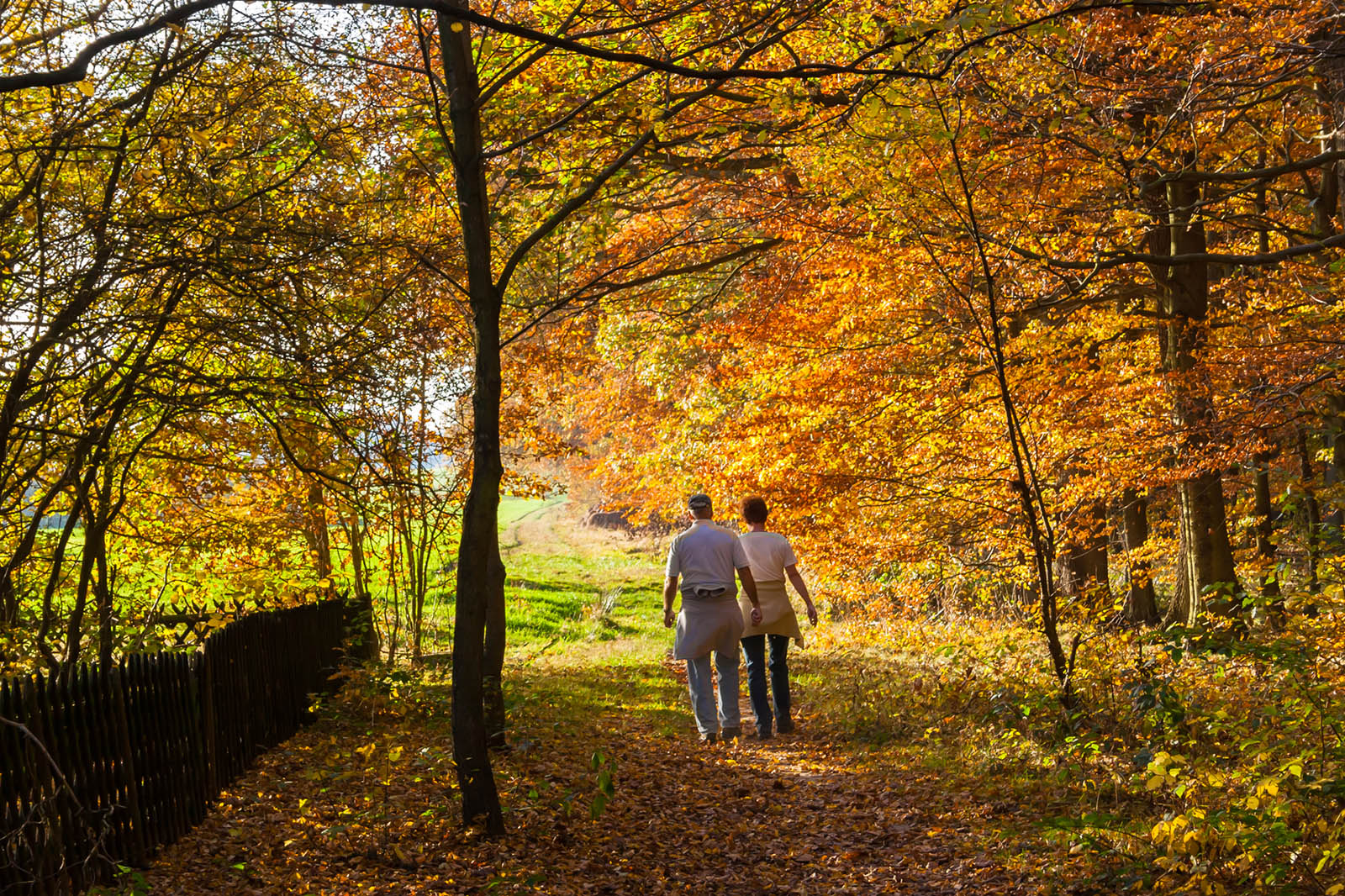 Embrace the new season