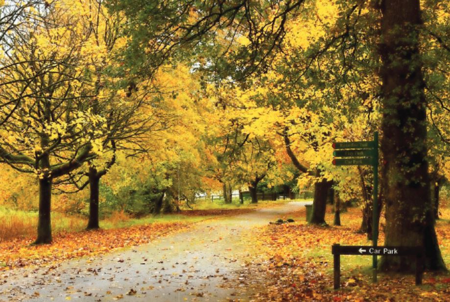 Plenty to do and see at Pomeroy’s Magical Forest