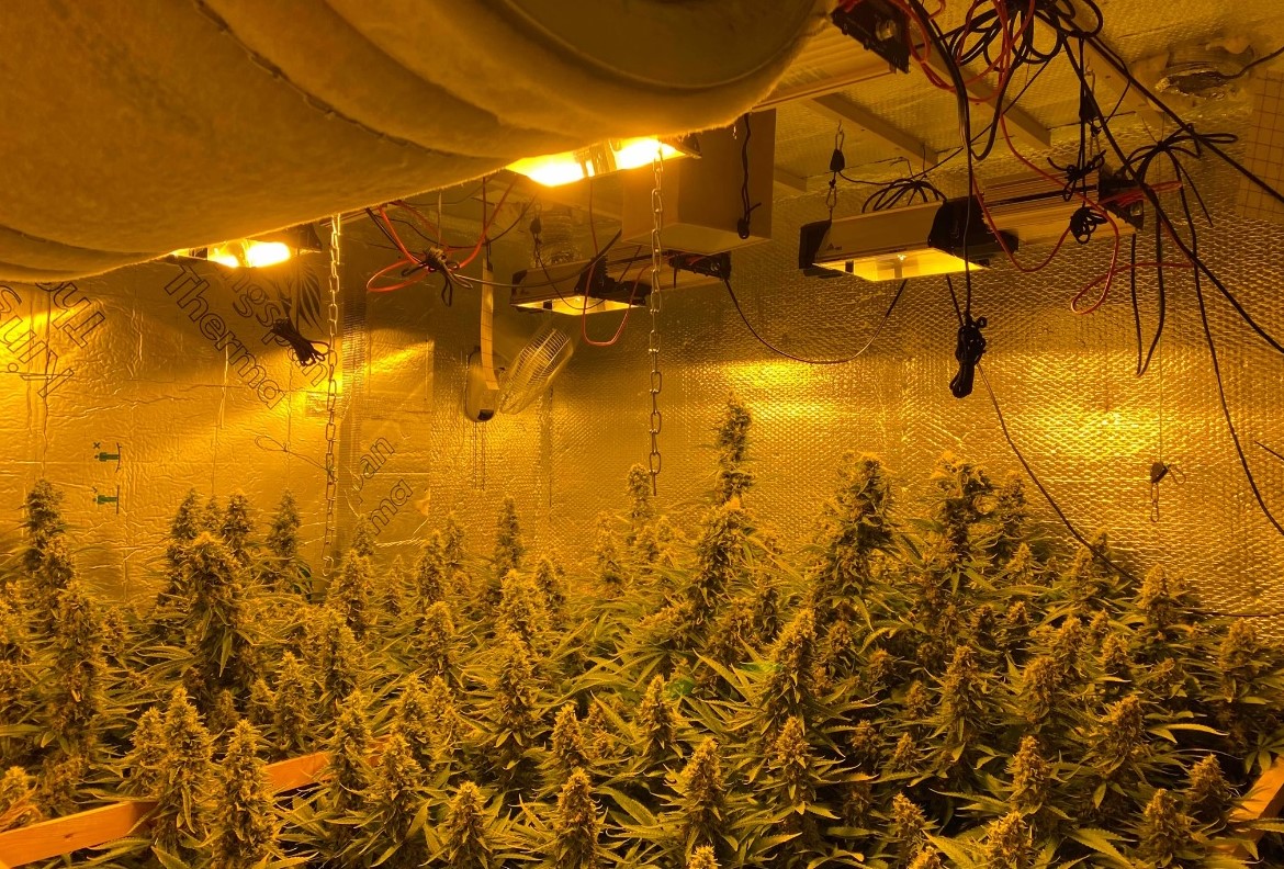 Man due in court over cannabis seizure in Dungannon