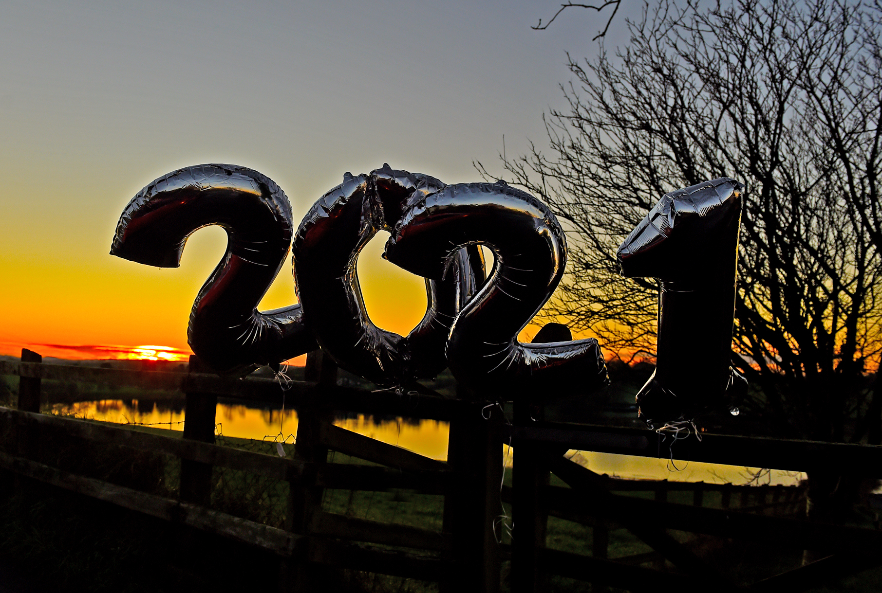 Learn the lessons of 2020