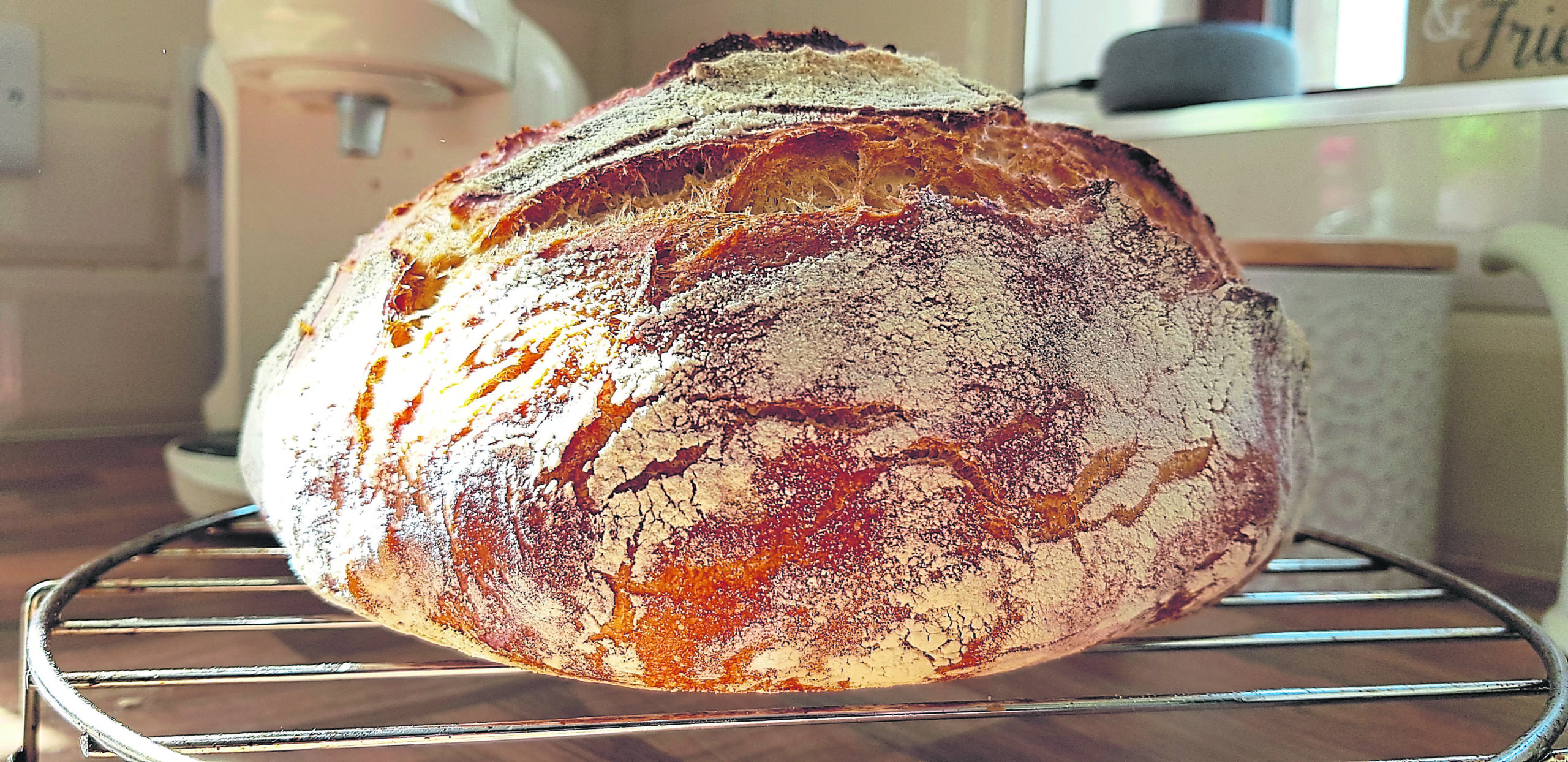 Keep calm and make sourdough