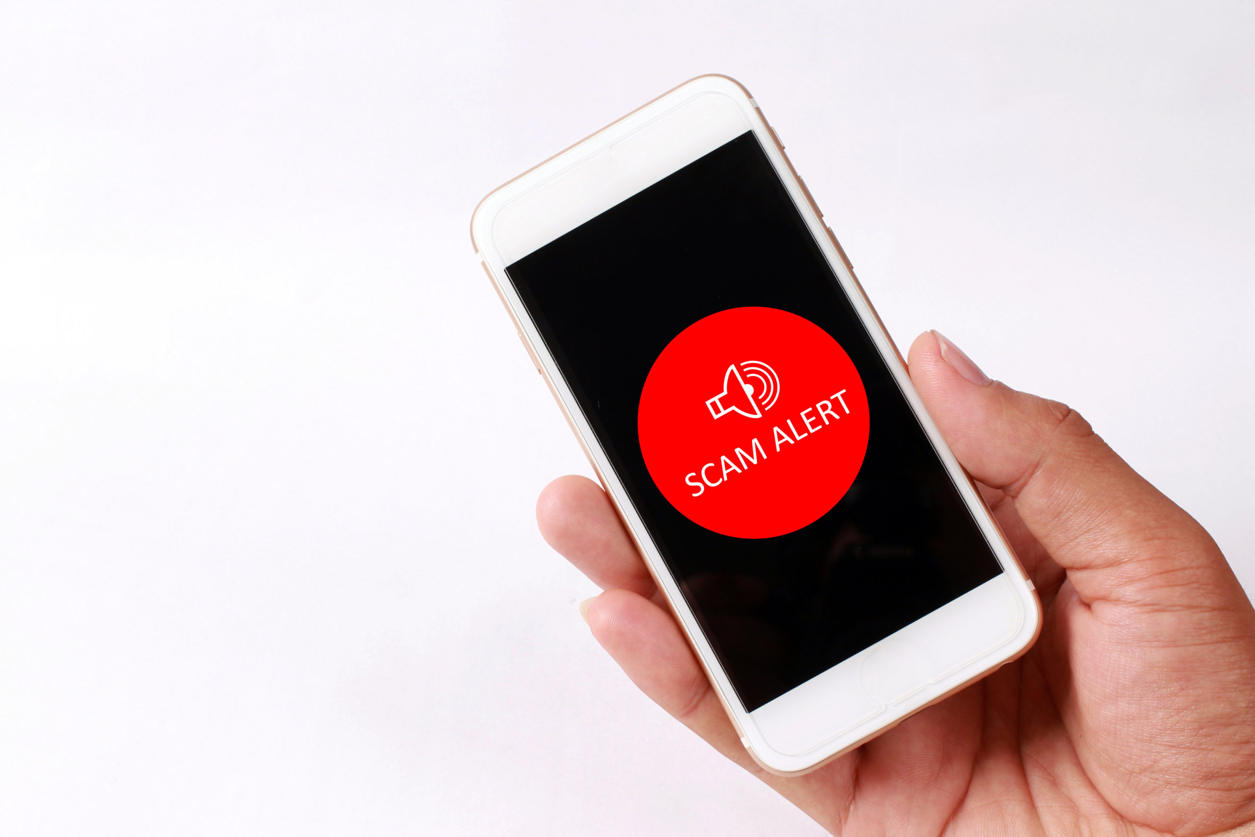 Council issues warning of bogus callers