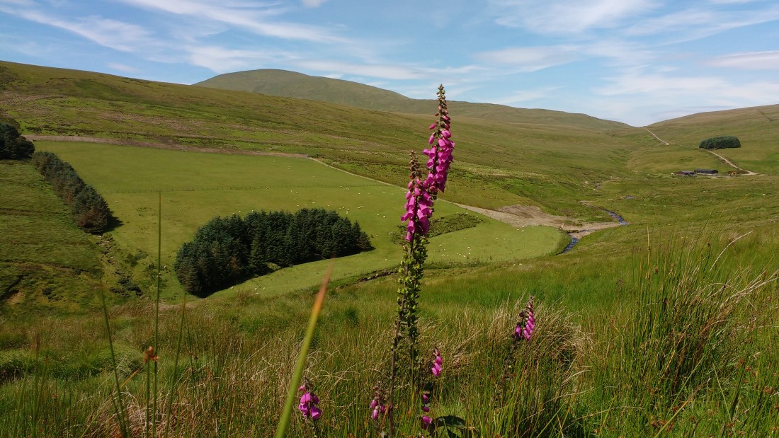 Council launches Rural Trail to boost Tourism sector