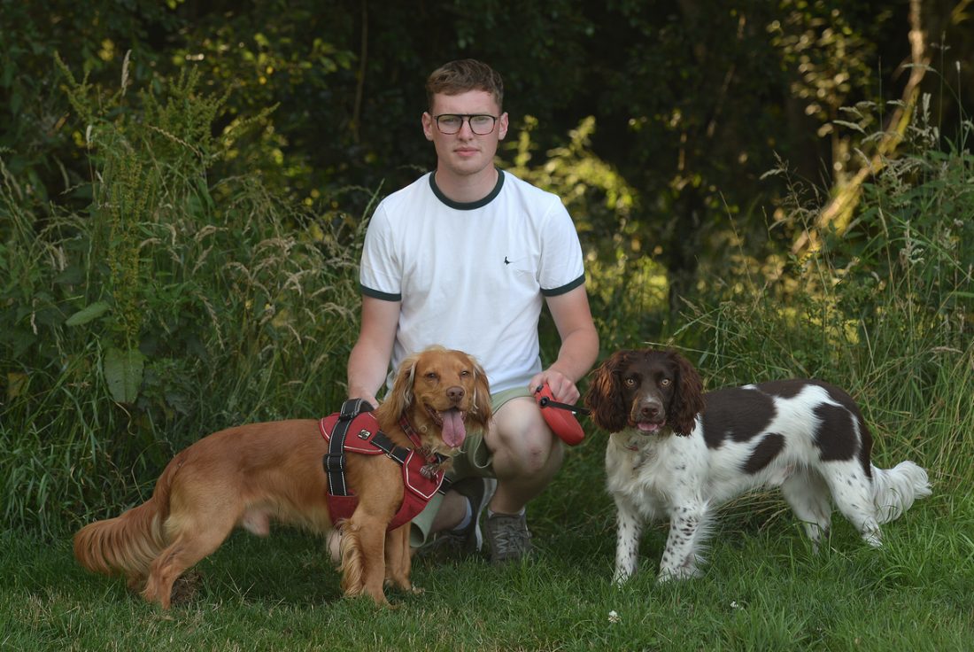 Anger as broken glass on path injures dogs