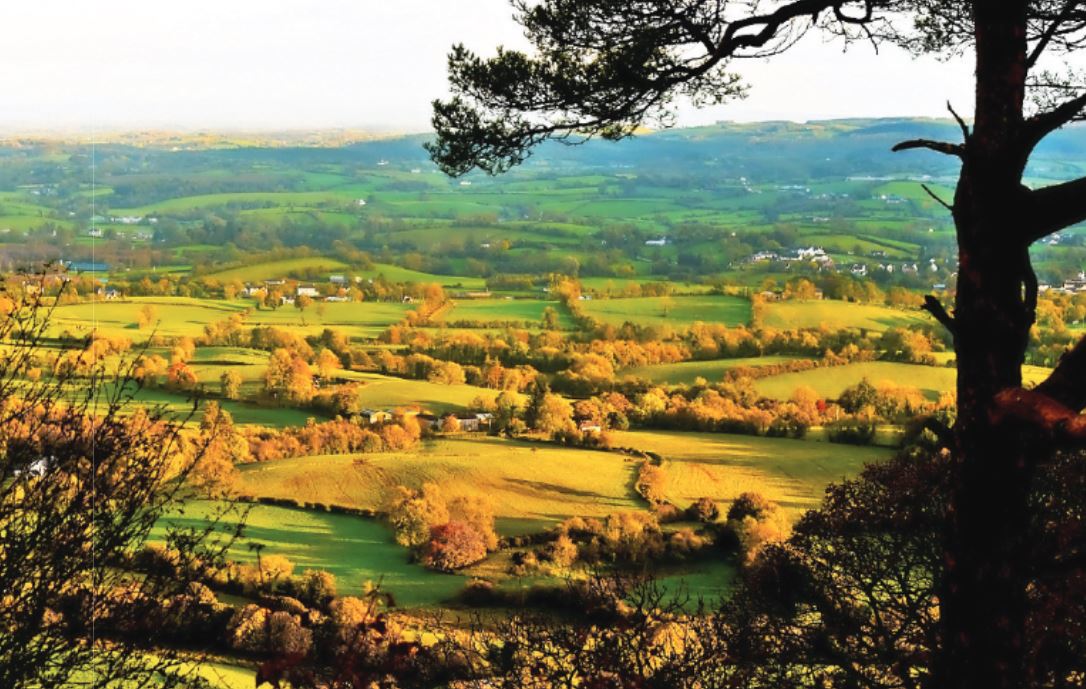 Walking through the past, present and future in Knockmany