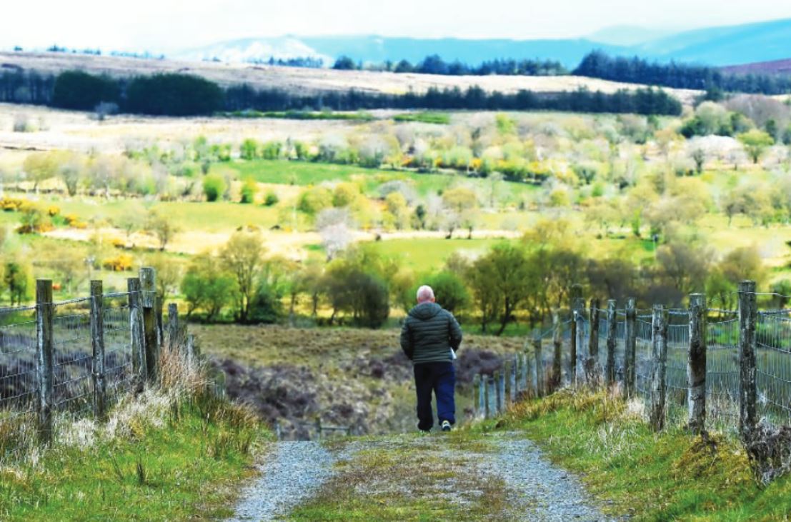 Spectacular views at the summit of Pigeon Top