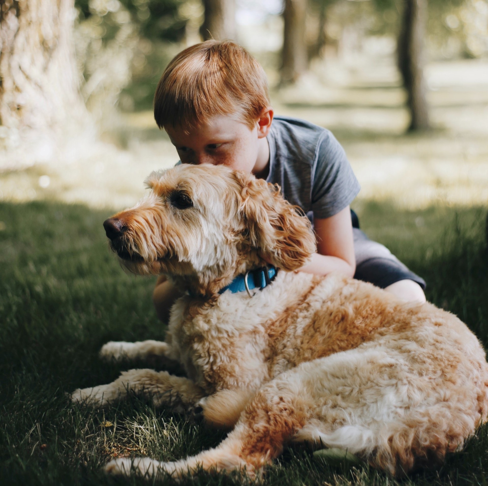 Can Animals Help Children Learn?