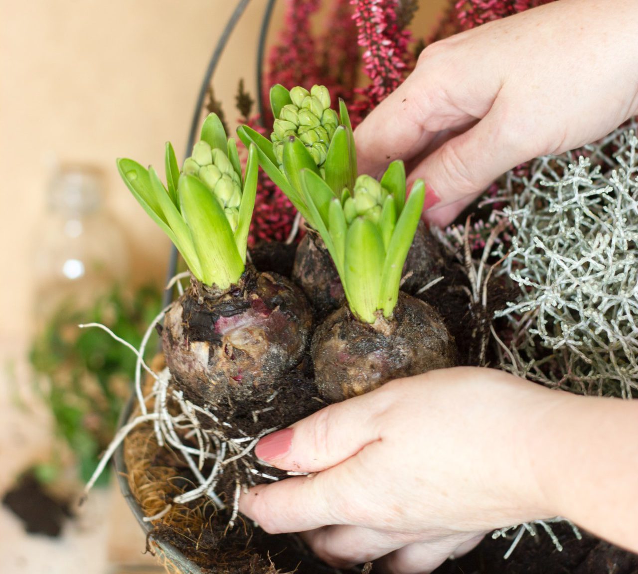 Spring Garden Prep: Make Way For Some Serious Colour