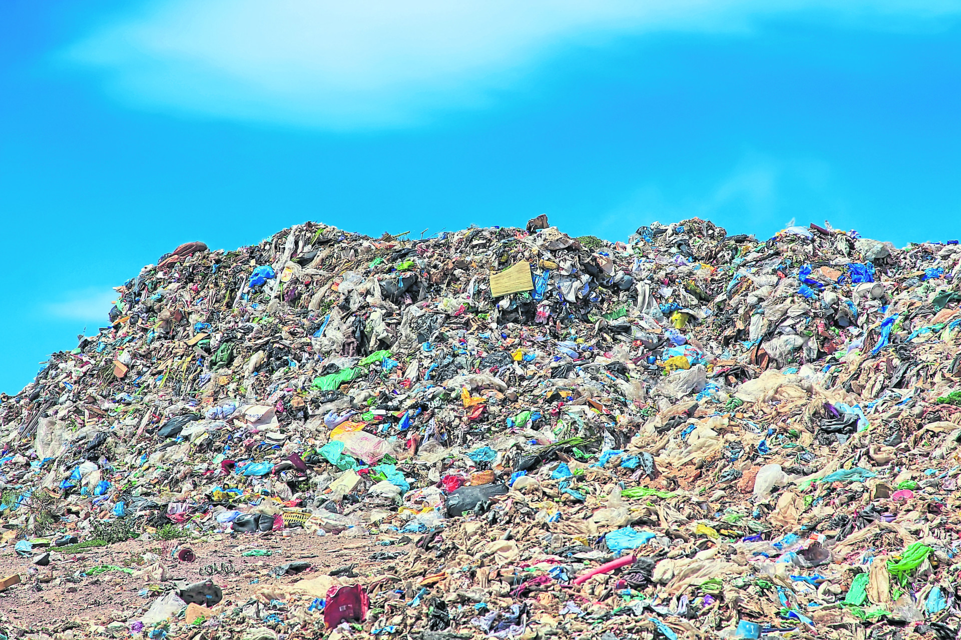 ‘We can all do our bit’ to avert global environmental disaster