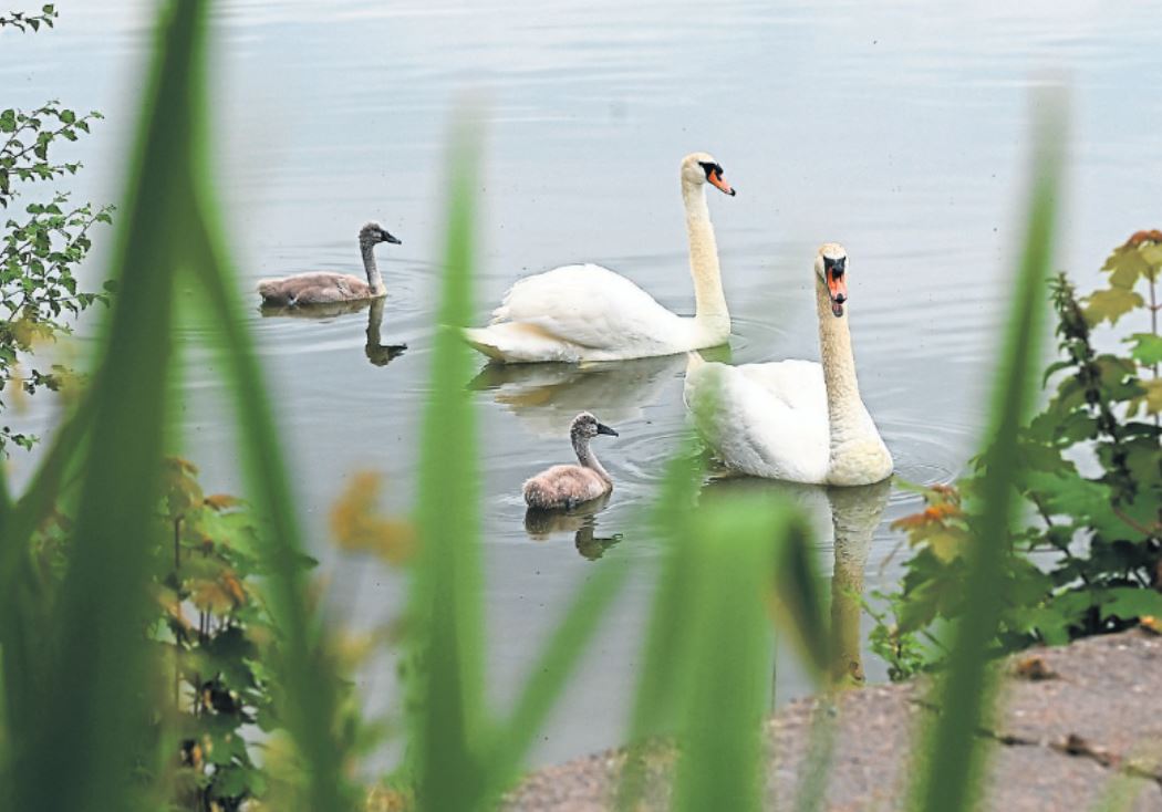 Black Lough is a place apart