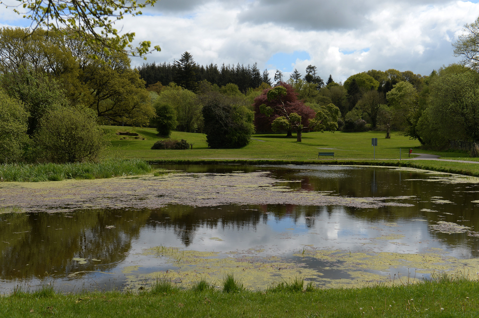 Ecclesville Forest Park enhancement works to begin in New Year
