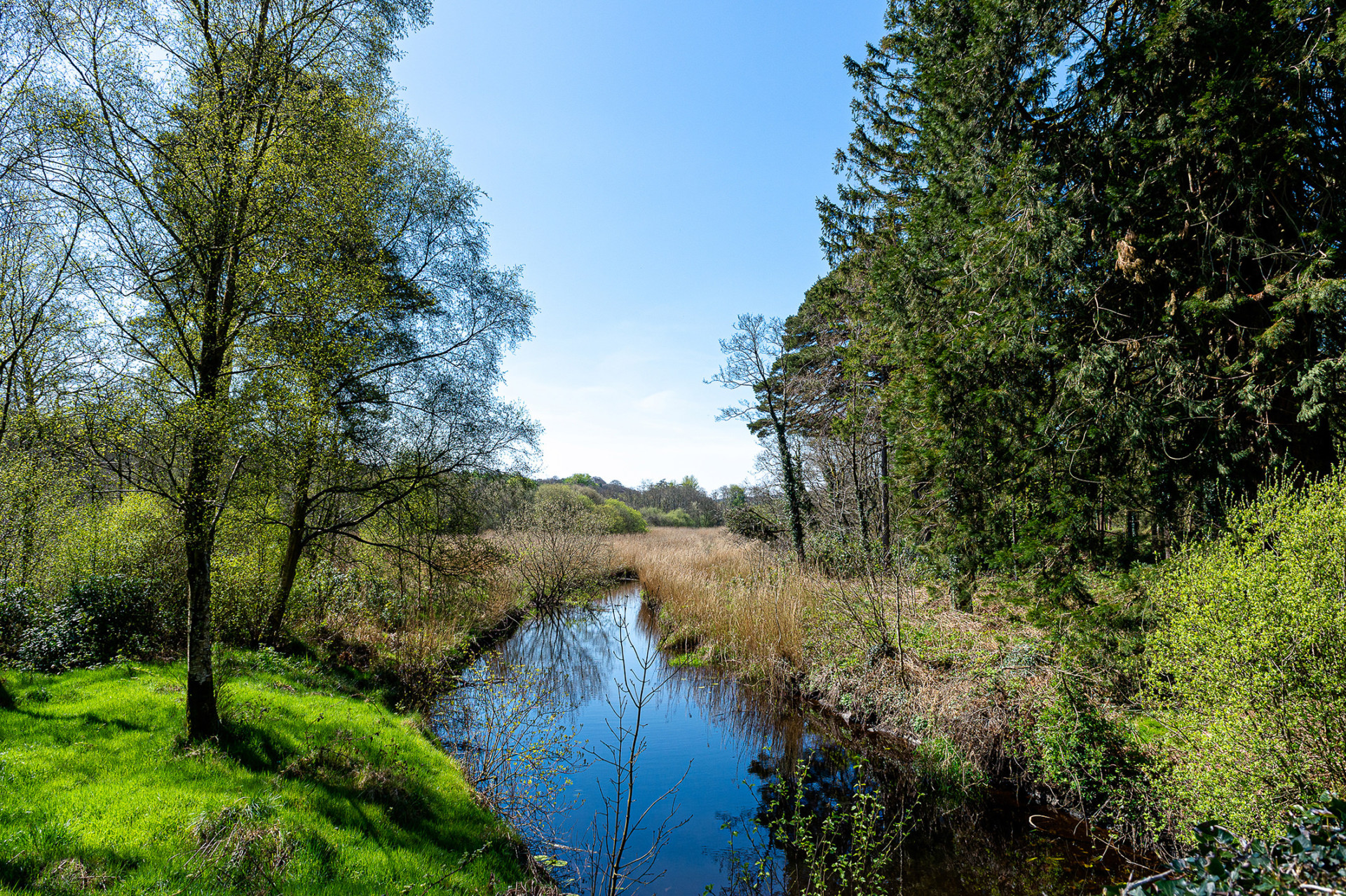 Mining proposal for Baronscourt Estate goes before planning officials