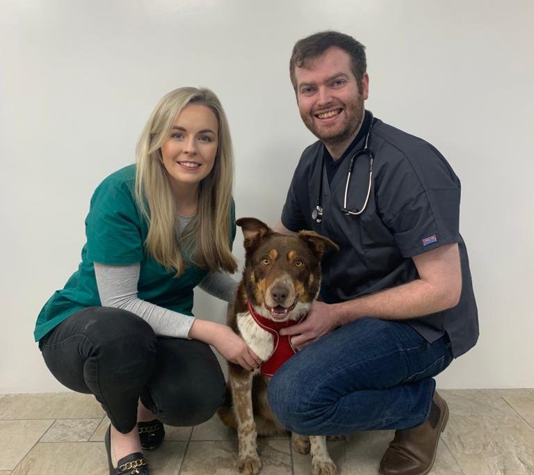 Drumragh Veterinary Centre opens in Omagh