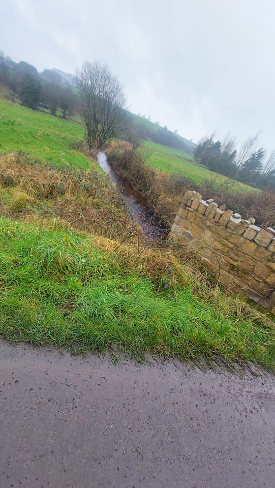 Probe into pollution which may have killed up to 1,000 fish