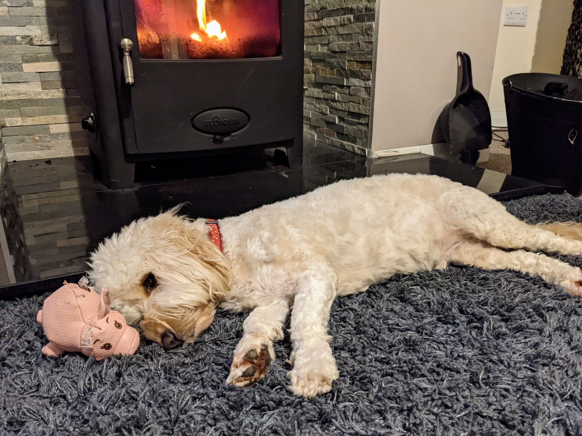 To the beat of the drum – Wuff With the Smooth