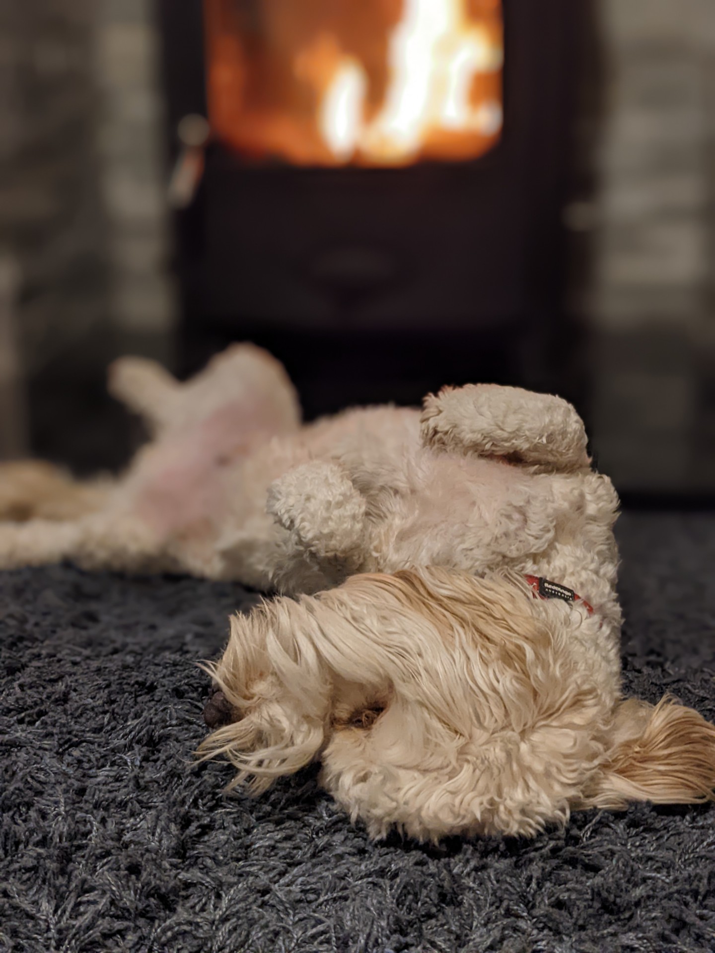 The Twa Dogs – Wuff With The Smooth