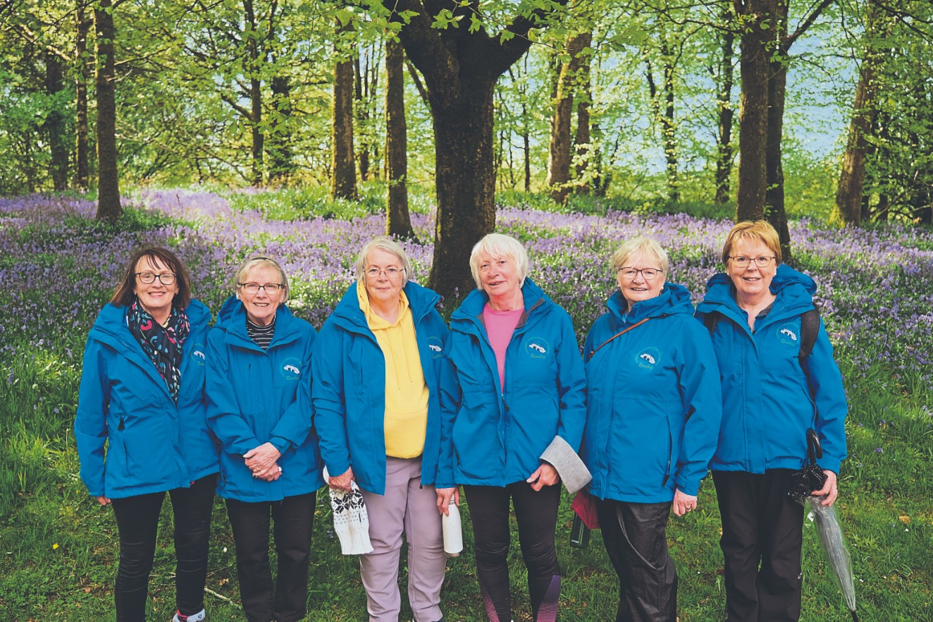 ‘Blooming’ bluebells at the Baronscourt walk
