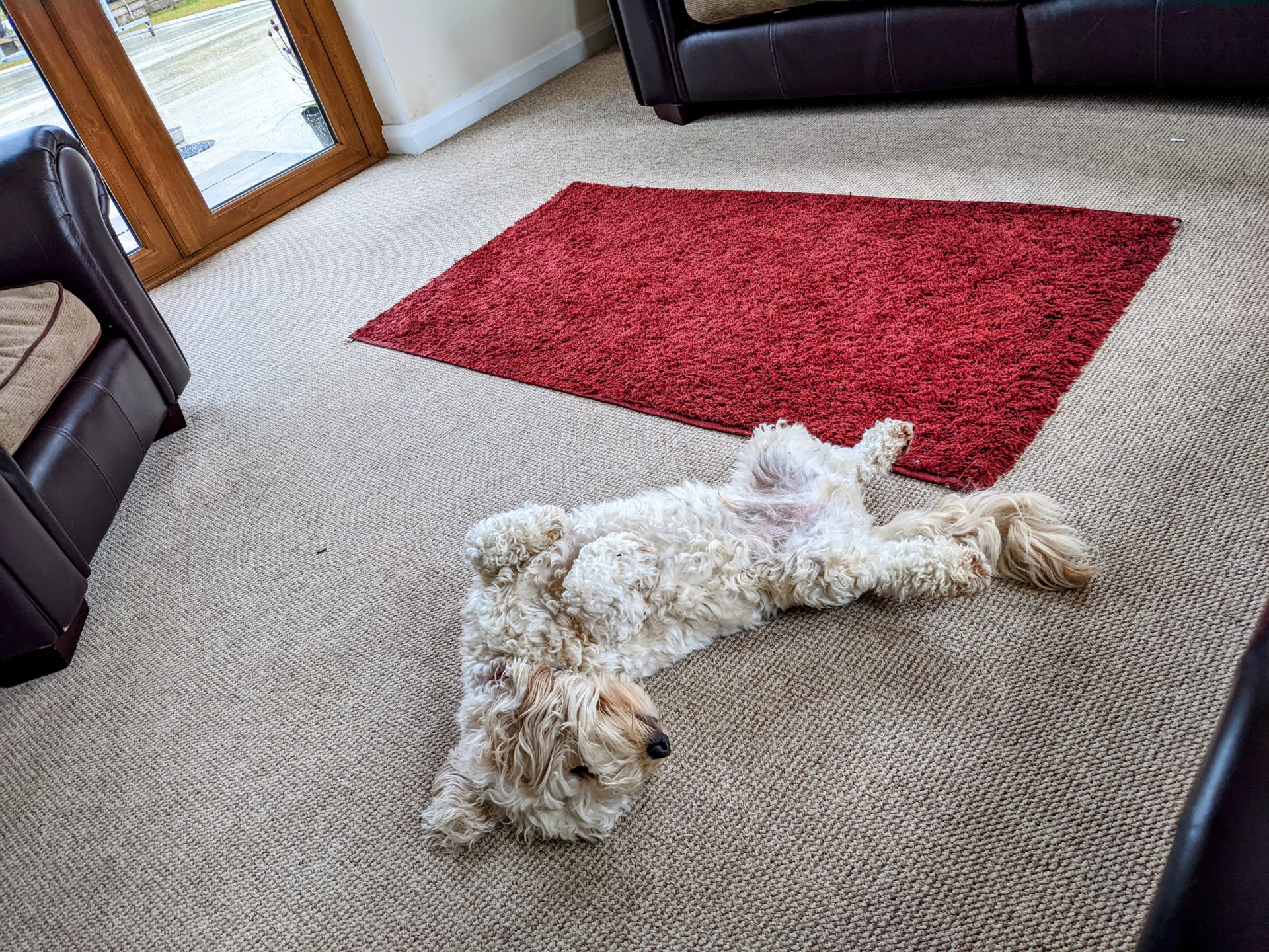 I’m not a pheasant plucker…