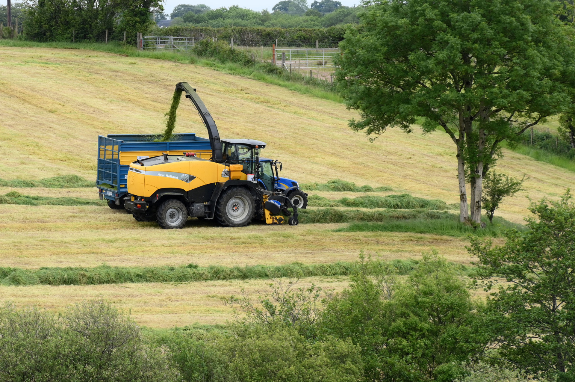 Report highlights worth of local agribusiness in Mid Ulster