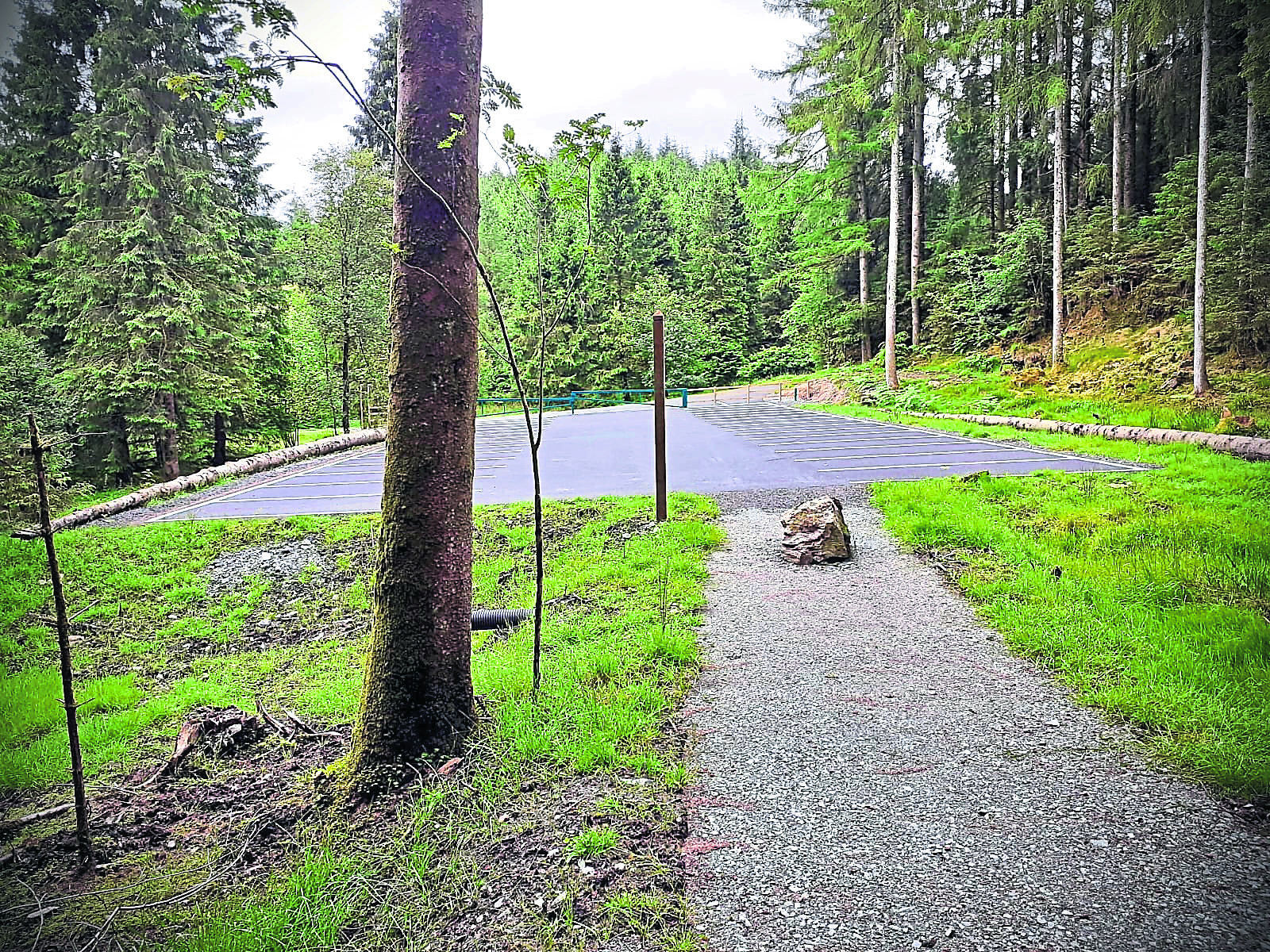 Calls for dog-friendly park at Gortin Glens