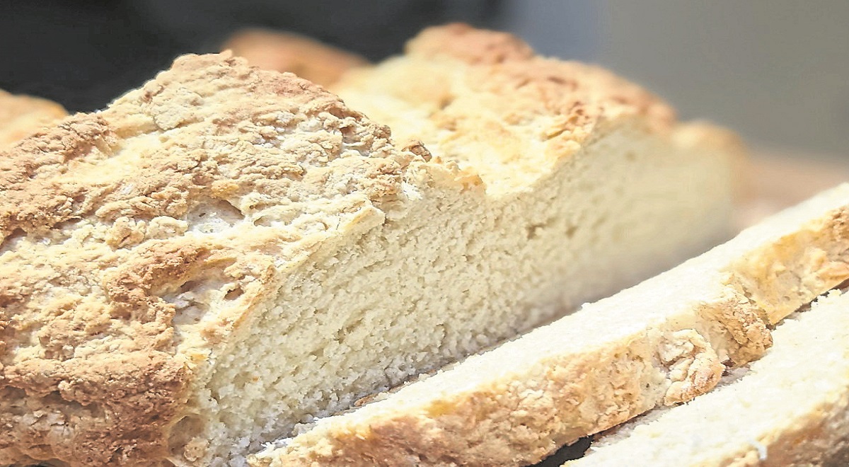 Taste Scene – Give yourself a gift