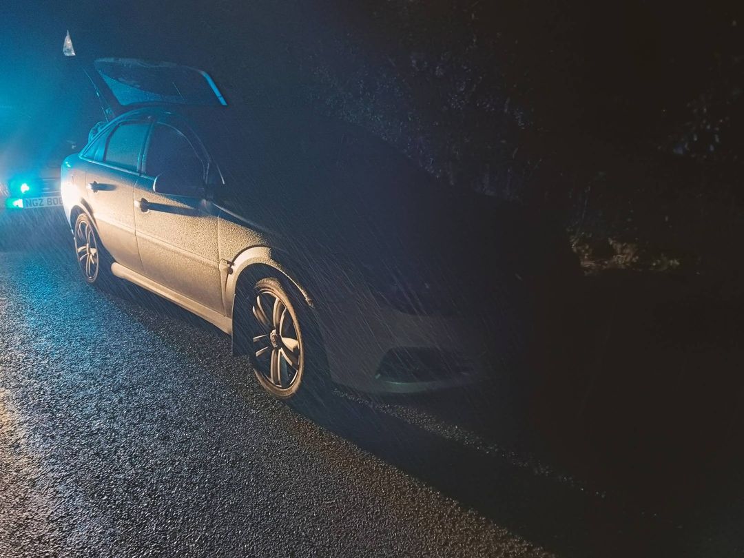 Tyrone police make arrest in ‘flower pot thefts’ probe