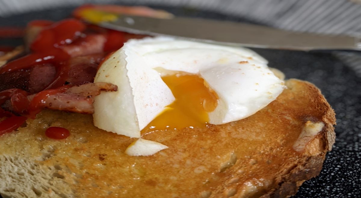 The flavour of life – Taste Scene