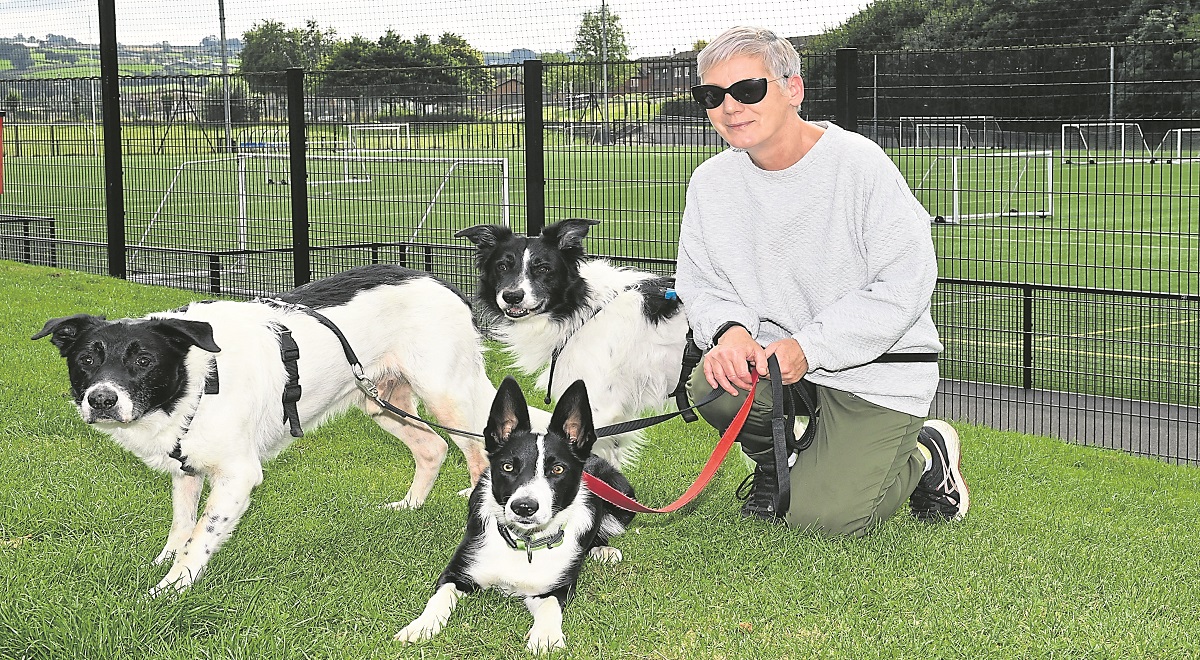 Dog owner asks canine lovers to ‘respect others’ in public