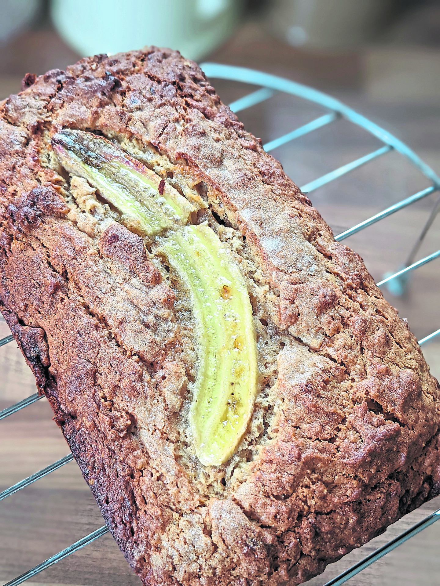 Viva la evolución! – Taste Scene