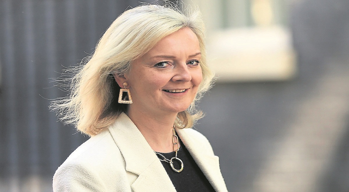 It’s all about Liz