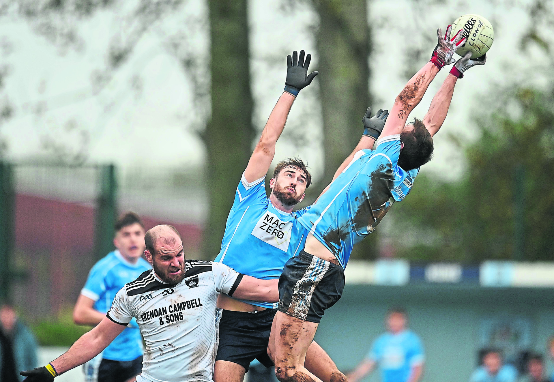 The Moy keep Division One hopes alive against Clonoe