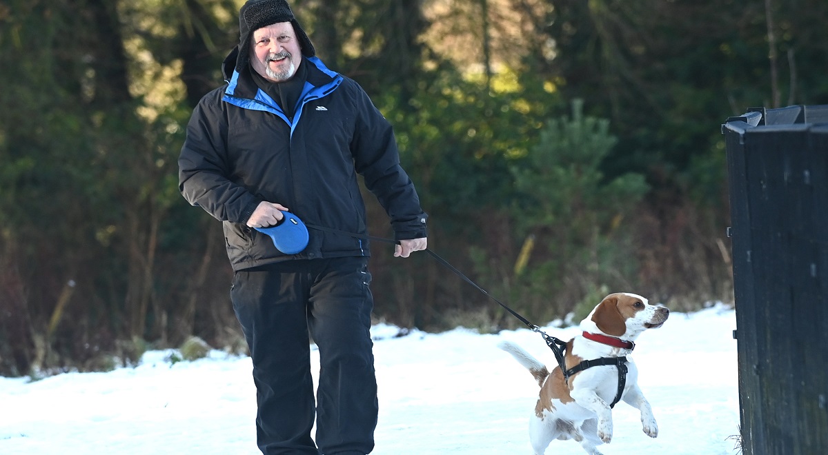 Walking the dog can boost your mental health