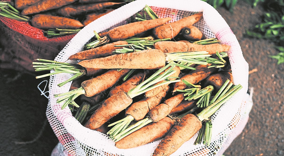 Farmers ‘disregarded’ by energy support scheme