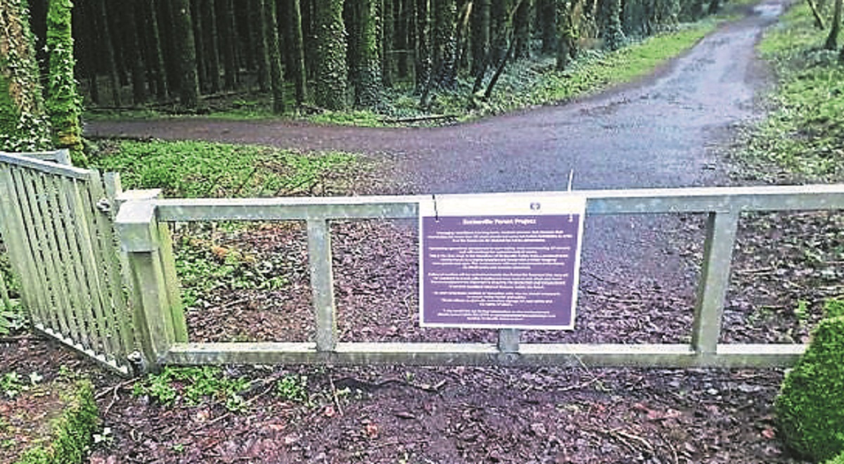 Cost of council services to increase by £4 million