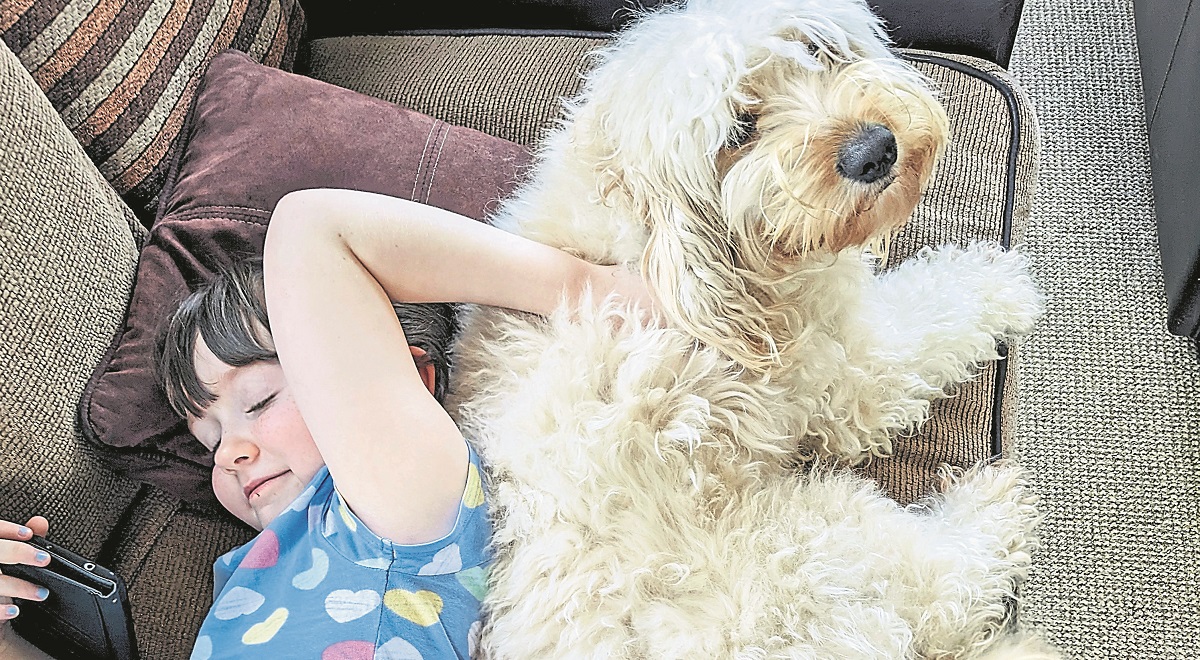 If you can’t beat them…