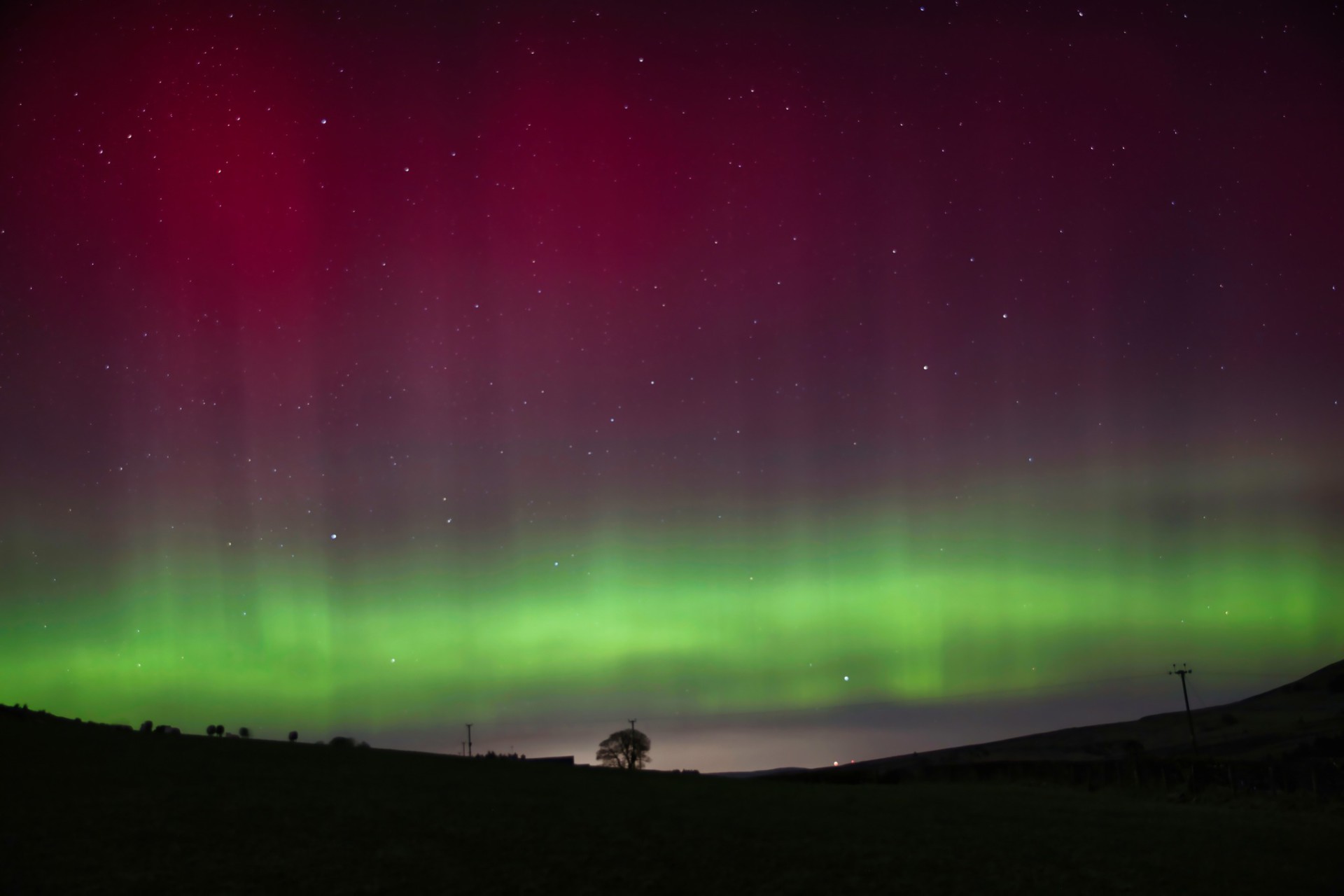 Tyrone delights in ‘Northern Lights’