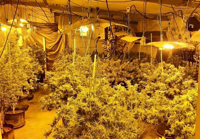 ‘Trafficked from Monaghan and held against my will’