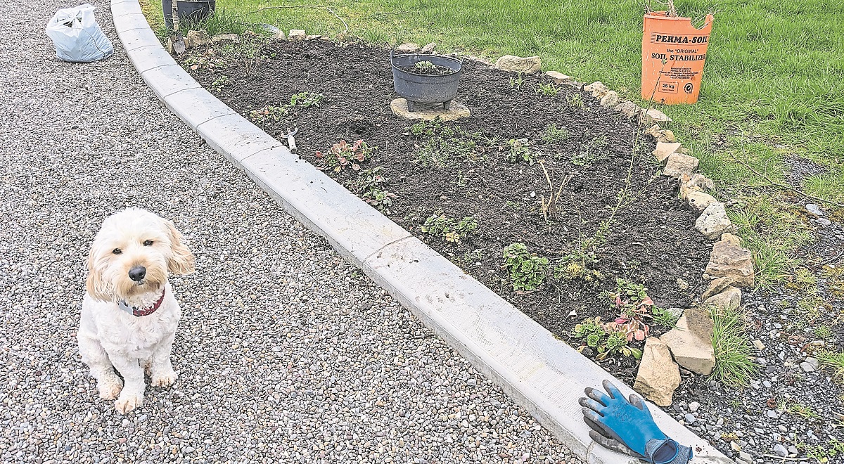 Zero tolerance policy