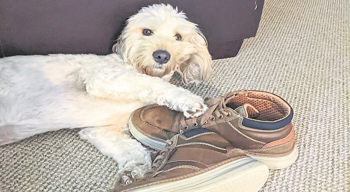 Conversations with Anna