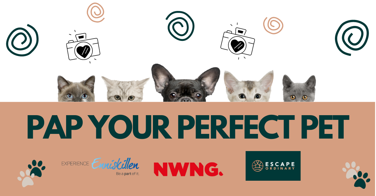 VOTE: YOUR PERFECTLY PAPPED PET