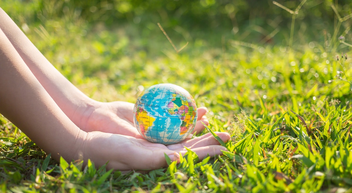 Environmental activist to stand as independent