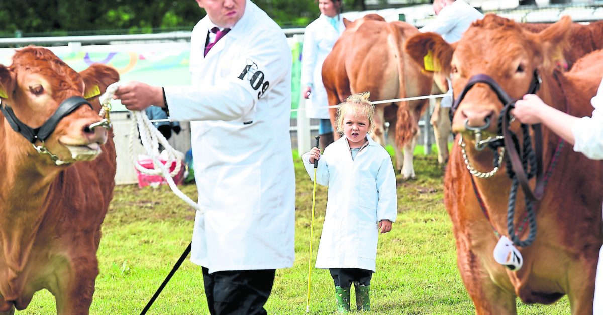 Learning the art of showing cattle starts at a young age, as Sarah Jane Lester, finds the Omagh Show a good place to start. MC 28 Picture Michael Cullen