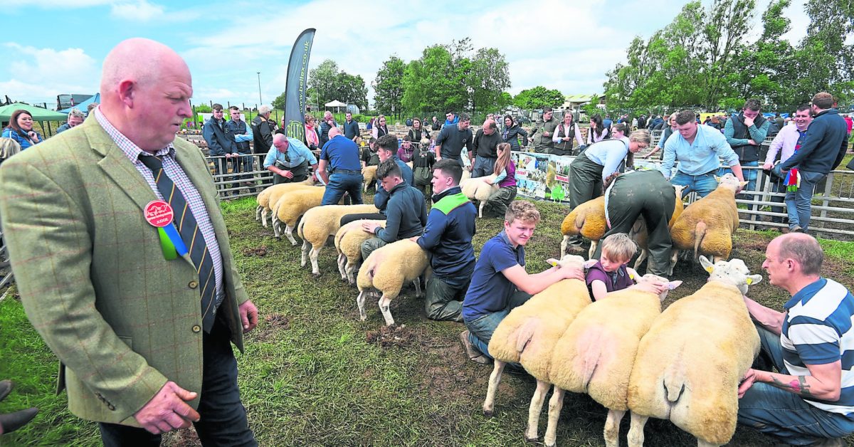 Michael Owens from Wales who was one of the judges at the various sheep breeds at the Show. MC 42